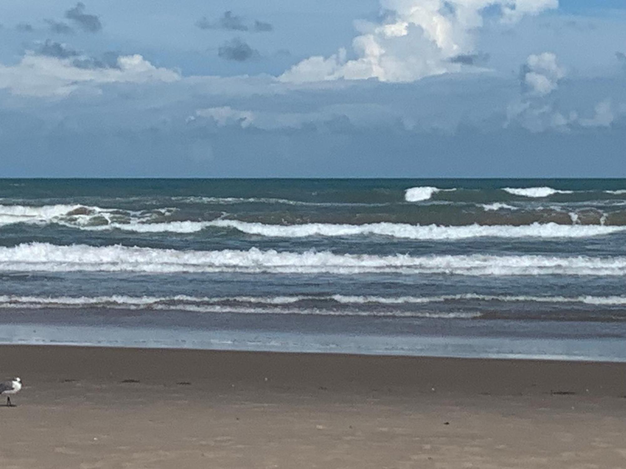 Jjs Beach Condo South Padre Island Eksteriør bilde